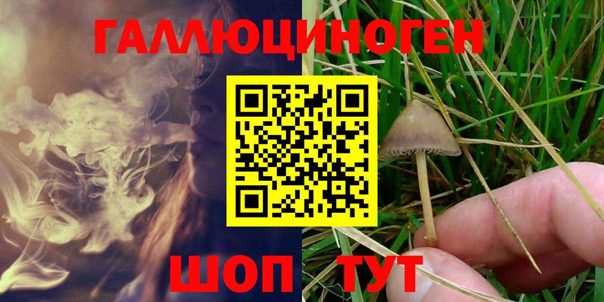 Псилоцибиновые грибы Cubensis  Псилоцибиновые грибы Psilocybe  Вход с VPN  Сухой Лог 