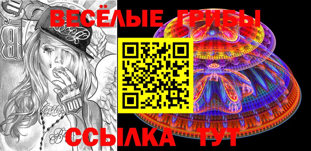 Псилоцибиновые грибы Cubensis Сухой Лог